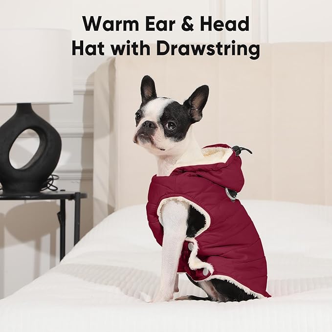 Fleece Lining Dog Hoodie with Harness Built in,Extra Warm Small Dog Jacket in Winter Puppy Coats with Drawstring Hooded,Red S