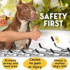 PetJett Prong Collar for Dogs Training Collar Adjustable Choke Collar for Dog Quick Release Pinch Collar for Dog for Small Medium Large Dogs No Pull Walking Tool - Stainless Steel Metal Choker Chain