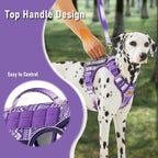 Dog Vest Harness with 2 Patches, No Pull Dog Harness for Walking Training Hiking, Metal D-Rings Easy on/Off Neck Buckle Reflective Strips Soft Padded Handle, Purple