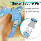 BARKBAY Dog Harness No Pull Mesh for Medium Dogs - Adjustable, Reflective, Comfortable, No Choke, Heavy-Duty - Perfect for Outdoor Training, Walking, and Hiking - Strong & Durable - M & Blue Mesh