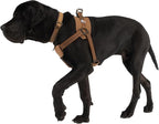 Carhartt Nylon Duck Comfortable Training Dog Harness, Fully Adjustable No Choke Rugged On-Leash Training Harness with Dual Attachment Points, Small