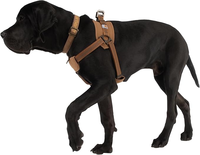Carhartt Nylon Duck Comfortable Training Dog Harness, Fully Adjustable No Choke Rugged On-Leash Training Harness with Dual Attachment Points, Small