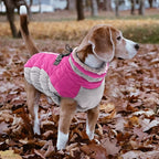 Lelepet Dog Coat Warm Dog Winter Coat Waterproof Dogs Jacket with Harness Built in Reflective Pet Fleece Vest Zip-Up Cold Weather Coats for Medium Dogs Turtleneck & Windproof Coats Dachshund Rose Red
