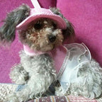 Round Brim Princess Hat Visor Hat Pet Dog Mesh Porous Sun Hat with Ear Holes for Small, Extra Small Dog Teddy, Pug, Chihuahua, Shih Tzu, Yorkshire Terriers, Papillon Pink S