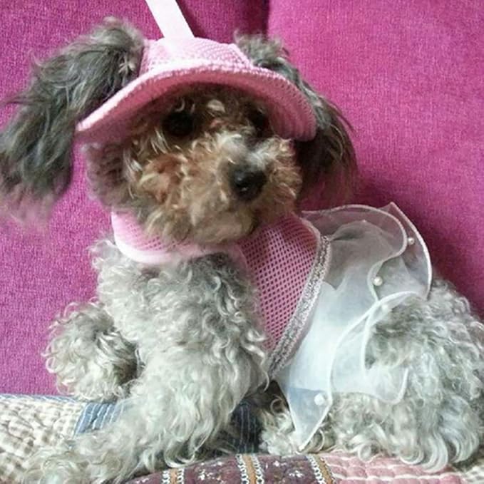 Round Brim Princess Hat Visor Hat Pet Dog Mesh Porous Sun Hat with Ear Holes for Small, Extra Small Dog Teddy, Pug, Chihuahua, Shih Tzu, Yorkshire Terriers, Papillon Pink L