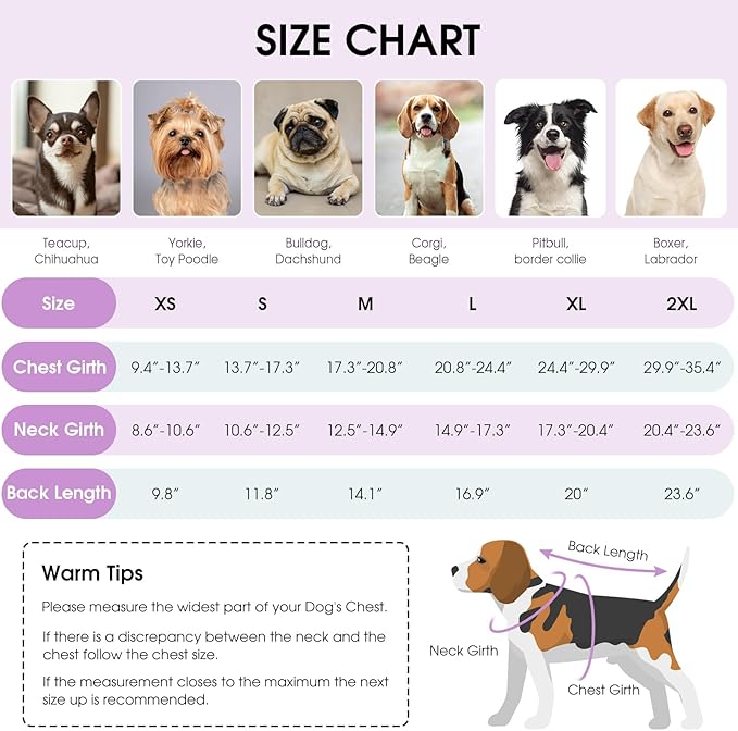 Queenmore Dog Winter Coat, Cold Weather Fleece Jacket for Dogs, Waterproof Reflective Reversible, for Small, Medium and Large Dogs (Tie-Dye, XS)