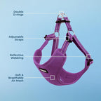 Best Pet Supplies Voyager Adjustable Step-in Flex Breathable Mesh Dog Harness for Small Medium Large Dogs (Purple), XL