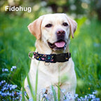 Martingale Collar for Dogs with Buckle No Pull Adjustable Nylon Limited Slip Training Dog Collars (Blue Dinosaur, Large)