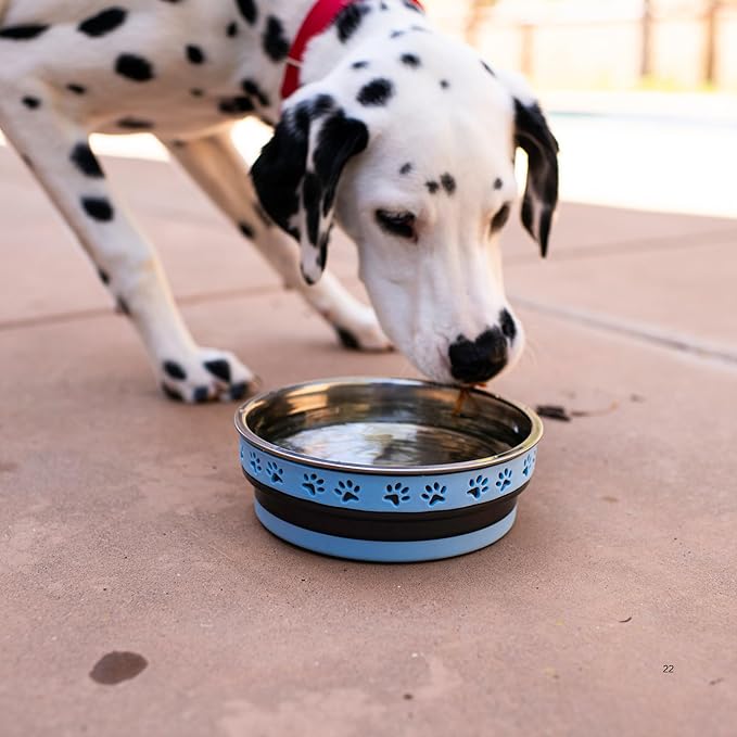Loving Pets Corsa Dog Bowls- Stainless Steel Dog & Cat Bowls - Spill Proof Dog Food Bowl, Cat Bowl, Puppy Essentials & Pet Supplies Great for Home & Travel (Medium 20-35 lbs, Rapid Blue)