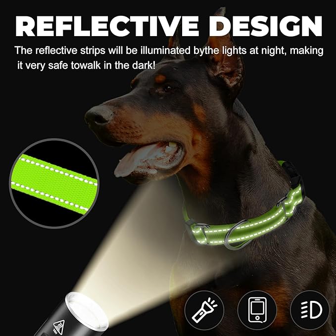 Martingale Collar for Dogs,Reflective Martingale Dog Collars with Quick Release Buckle,Adjustable Nylon No Pull Dog Collar for Walking Training(Azure Blue,Extra Large)
