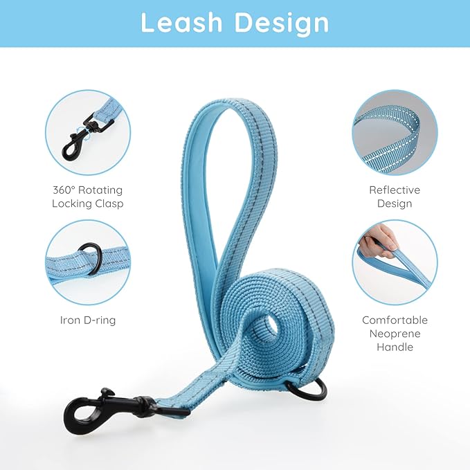 BELLA & PAL Step in Vest Harness for Small and Medium Dogs, No Pull Small Dog Harness with Leash Set, Comfortable Air Mesh Dog Vest Harness with Reflective Strip (Sky Blue, M)