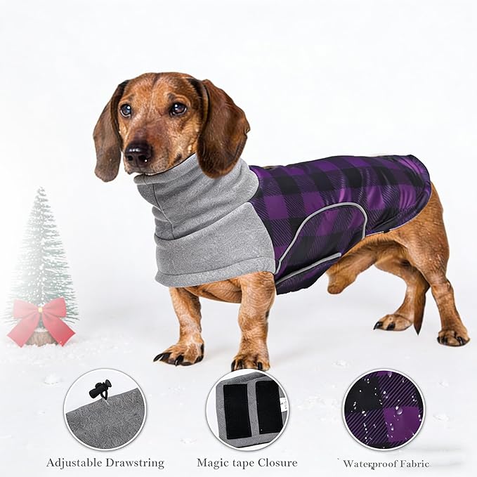 Dog Winter Coat,Dachshund Clothes,Waterproof Miniature Dachshund Jacket with Harness Hole,Dachshund Jumper with Turtle Neck,British Style-Purple Plaid-S