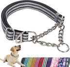 Reflective Martingale Collar for Dogs with Soft Padded Strap with Durable Chain- Adjustable No-Pull Training Collar,Great for Training, Walking, Hunting (Silver XL)