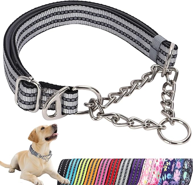 Reflective Martingale Collar for Dogs with Soft Padded Strap with Durable Chain- Adjustable No-Pull Training Collar,Great for Training, Walking, Hunting (Silver XL)