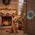 Wireless Dog Doorbell for Potty Training to Go Outside, Waterproof Pet Bell with 1 Touch Buttons and 1 Receiver, 1000 Feet Range, 60 Melodies & Adjustable Volume, Black
