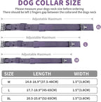 COOYOO Dog Collar,3 Piece Set Tactical Dog Collars, Adjustable Military Training Nylon Dog Collar with Control Handle and Heavy Metal Buckle for Medium and Large Dogs