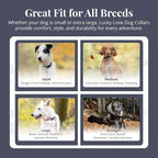 Lucky Love Dog Martingale Dog Collar - Adjustable, No-Slip, Durable, & Soft Webbing Collar for Male and Female Dogs Ideal for Training & Walking - in Unique Pongo Pattern, Large Size