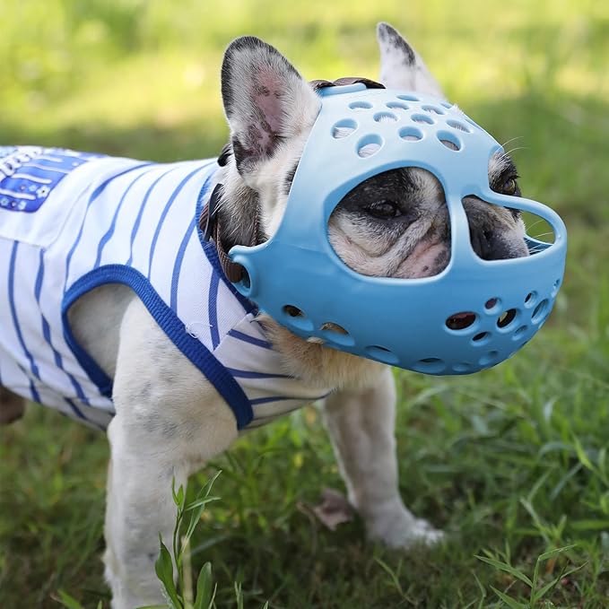 Short Snout Dog Muzzles,Soft Silicone Adjustable Breathable Bulldog Muzzle for Biting Chewing Barking Training,Ideal for Flat-Faced Dogs (Large/15-17" (Pack of 1), Blue)