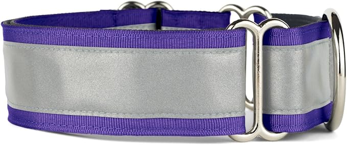 If It Barks - 1.5" Reflective Martingale Collar for Dogs - Adjustable - Made in USA - Strong, Durable, and Comfy - Ideal for Training - Suitable for Most Breeds - Small, Purple