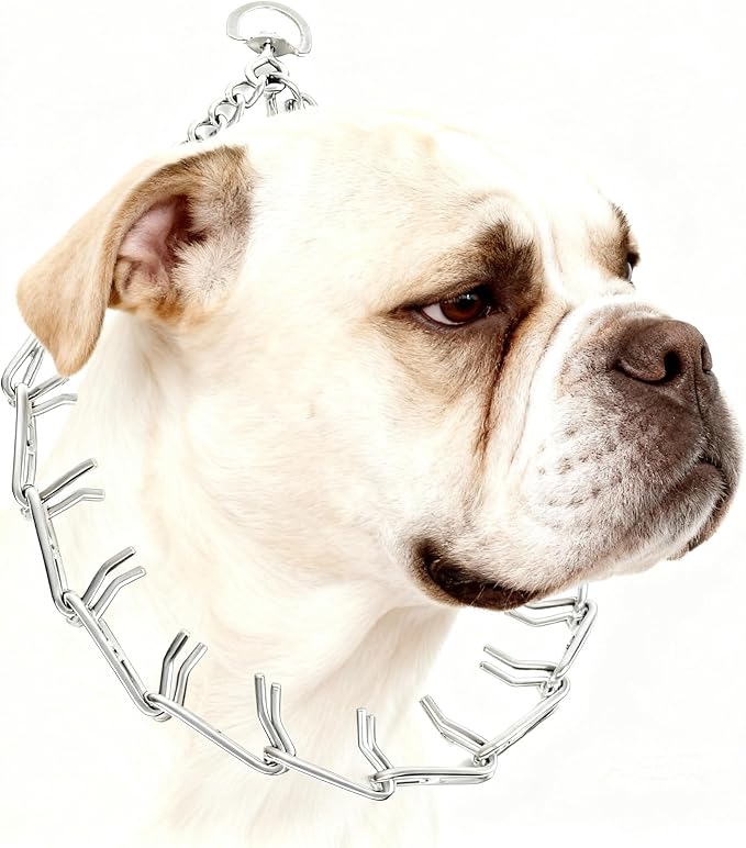 Stainless Steel Prong Dog Training Collar Adjustable Pet Pinch Collar for Dogs with The Swivel Ring 22in x 3.0mm (Neck Size up to 18in) L