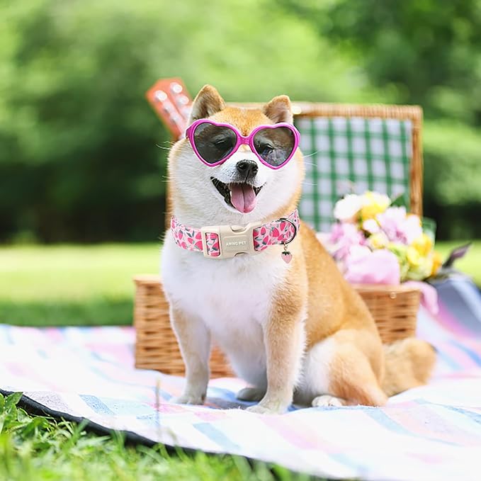 ARING PET Strawberry Dog Collar, Cute Spring Summer Pink Puppy Pet Collars for Small Medium Large Female Girl Dogs-L