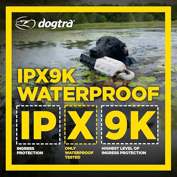 Dogtra 1900S Wetlands Boost & Lock Remote Dog Training E-Collar Ergonomic 3/4-Mile Range, Waterproof, Rechargeable, High-Output, Camouflage