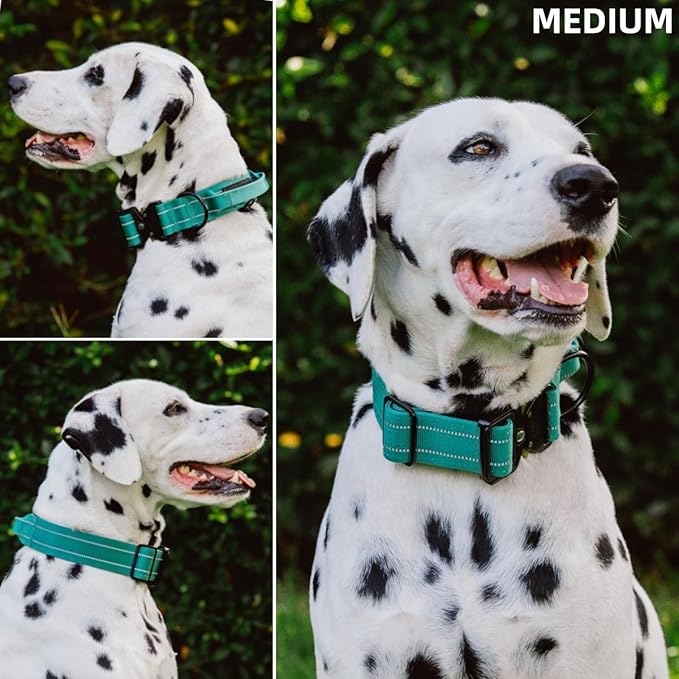Tuff Pupper Tactical Dog Collar with Handle | Heavy Duty Adjustable Dog Collar | Military Nylon Collar for Medium Dogs | Quick-Release Buckle | Soft Padded Comfort | Training Control (Green, Medium)