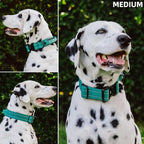 Tuff Pupper Tactical Dog Collar with Handle | Heavy Duty Adjustable Dog Collar | Military Nylon Collar for Medium Dogs | Quick-Release Buckle | Soft Padded Comfort | Training Control (Green, Medium)