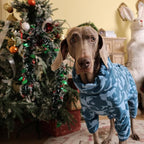 ROZKITCH Pajamas for Dogs Large, Pet Windproof Warm Cold Weather Jacket Vest with Luminous Zipper, Jumpsuit Apparel Outfit Clothes for Small Medium Large Dog Shark 2XL
