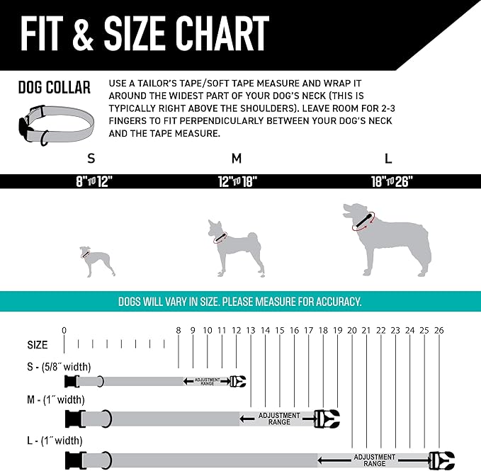 Wolfgang Heavy Duty, Adjustable Dog Collar with Quick Release Nylon Buckle for Walking & Training, GreatEscape Print, Small