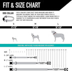 Wolfgang Heavy Duty, Adjustable Dog Collar with Quick Release Nylon Buckle for Walking & Training, GreatEscape Print, Small