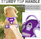 BARKBAY No Pull Dog Harness Front Clip Heavy Duty Reflective Easy Control Handle for Large Dog Walking(Violet Purple & Purple,XL)