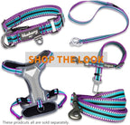 Blueberry Pet 4 Colors 3M Reflective Multi-Colored Stripe Martingale Safety Training Dog Collar, Violet and River Blue, Small, Heavy Duty Adjustable Collars for Dogs