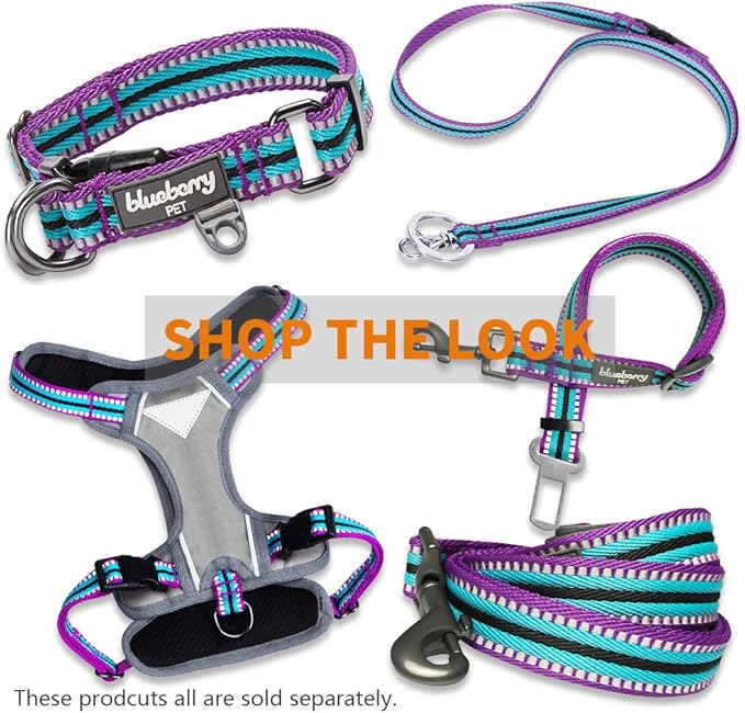 Blueberry Pet 4 Colors 3M Reflective Multi-Colored Stripe Martingale Safety Training Dog Collar, Violet and River Blue, Medium, Heavy Duty Adjustable Collars for Dogs