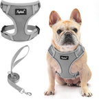 PUPTECK Small Dog Harness and Leash Set, No Pull Adjustable Puppy Cat Harness, Reflective Soft Mesh Pet Vest Small Sized, Grey, L