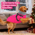 Queenmore Small Dog Coat,Dog Coat for Small Dogs,Reflective Windproof Dogs Jackets with Built-in Harness,Doggy Winter Jacket with Zipper On Back,Warm Pet Coats with Fleece Lining,Rosered,S