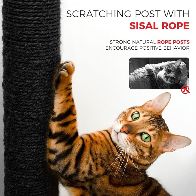 Anwick 68" Tall Cat Tree Tower with Scratching Posts, Cat House with Hammocks, Cat Condos for Indoor Cats, Removable Cushions, Multi-Level Cat Playground (Black)
