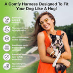 EcoBark Step in Dog Harness - Eco-Friendly Small Breed Dog Harnesses for XXS, XS, & Small Dogs - Reflective and Adjustable Mini Body Halter Vest - Soft Mesh Toy Breed Harness (Floral, XS)