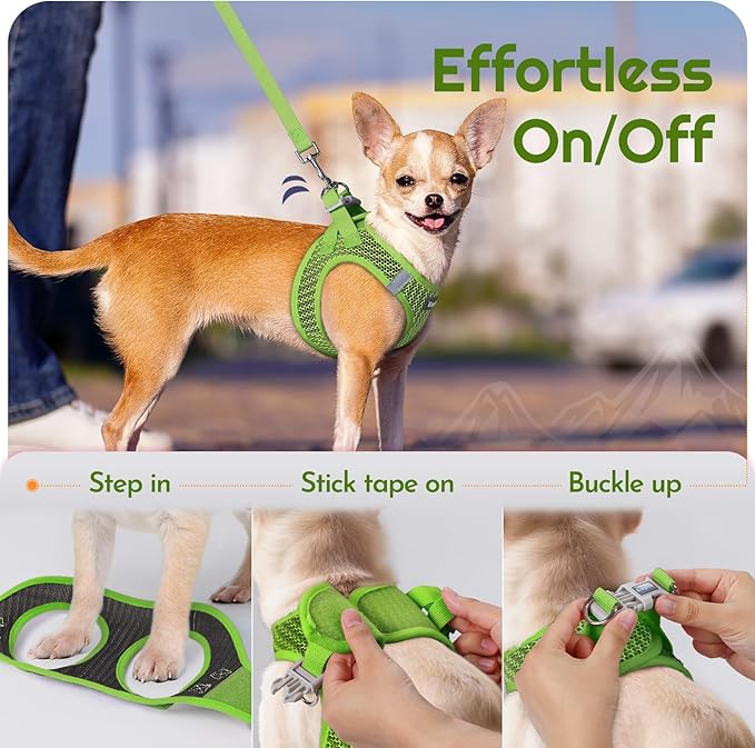 Eagloo Small Dog Harness and Leash Set, Step in Puppy Vest with Breathable Soft Mesh, Walking Reflective Pet Harness for Extra Small Dogs, Green, XXS