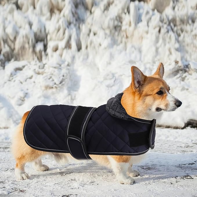 Geyecete Corgi Sweater for Dogs Warm Thermal Quilted Corgi Coat,Dog Winter Coat with Warm Fleece Lining,Outdoor Corgi Clothes Dog Apparel Navy-XS