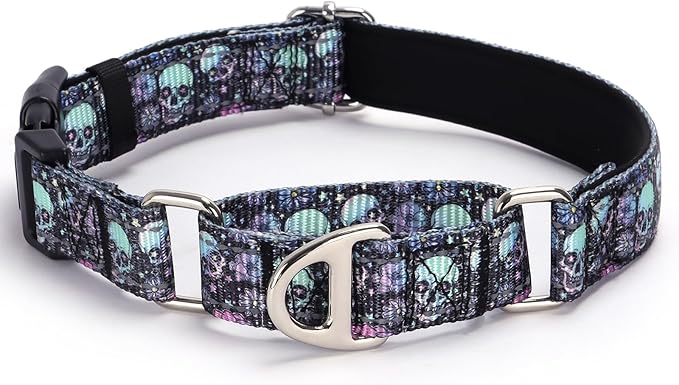 Martingale Collar for Dogs - Reflective Nylon with Padded Comfort & Quick Release Buckle - Skull Design, No Slip Choke Heavy Duty Collar for Safe Training, Walking & Nighttime Use L
