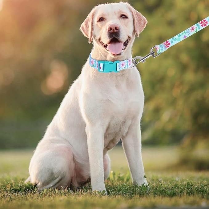 Dog Collar with Leash Airtag Holder Case Set - Dog Collars for Male Female Boy Girl Puppy X-Small Small Medium Large Dogs Walking Running Training - Verdure Daisy/S