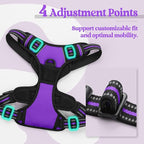 rabbitgoo Dog Harness No Pull with 2 Leash Clips, Adjustable Soft Padded, Reflective Oxford No Choke Pet Vest with Easy Control Handle for Medium Sized Dogs, Purple, M
