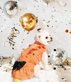 Dog Birthday Dresses, Dog Princess Dress, Turtleneck Puppy Skirt with Velvet Bowknot for Small Medium Dogs Girl (Orange, M)