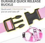 PUPTECK Small Dog Harness and Leash Set, No Pull Adjustable Puppy Cat Harness, Reflective Soft Mesh Pet Vest Small Sized, Pink, XS