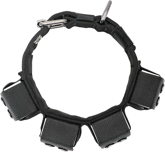 Tactical Weighted Dog Collar - Weights for Training & Exercise - Free Weights, Small, Medium, Large Dogs