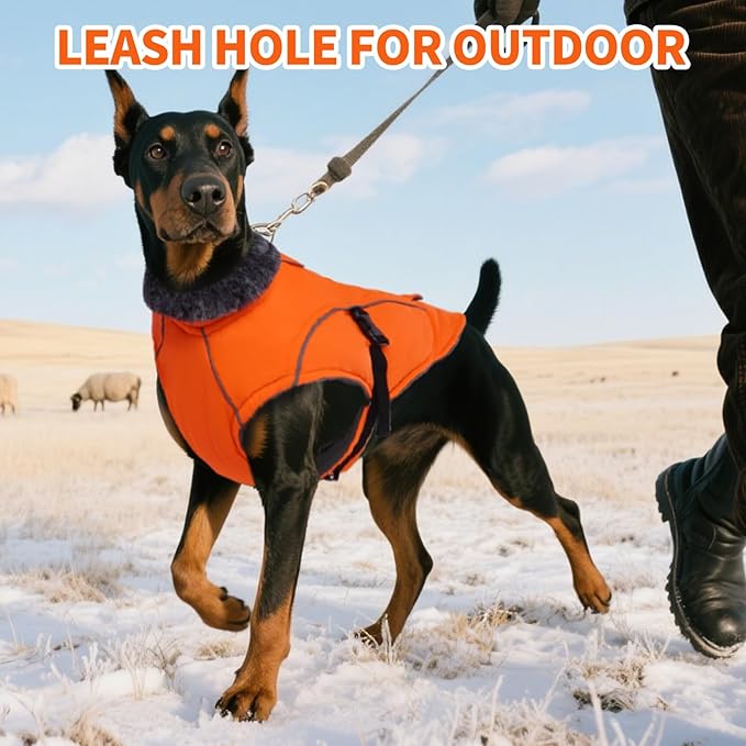 DENTRUN Winter Warm Dog Coat Reflective Jacket with Turtleneck for Cold Weather, Adjustable Buckle Windproof Water Repellent, Thick Snowsuit Fleece Vest for Small, Medium, Large Dogs, Orange, M