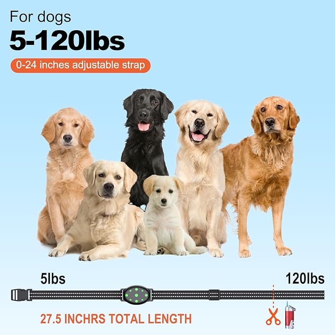 Shock Collar, Rechargeable Electric Dog Training Collar, 1000Ft Remote Range Dog Training Collar with Beep Vibration and Shock, for Small Medium Large Dogs (Red) (1-2) (1&1Blue)