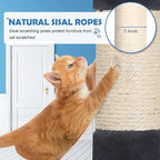 Cat Tree 36 Inch Cat Tower for Indoor Cats with Scratching Post,Padded Perch,Hanging Toys for Kittens & Adult Cats,Beige (Dark Gray)