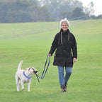 Dog Training Collar with 4 Extra Links for Medium, Large and X-Large Dogs (Blue)